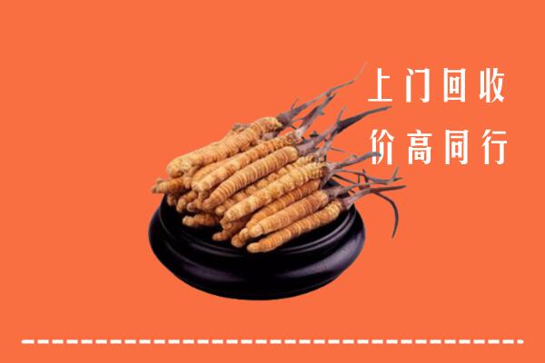 迪庆回收散虫草