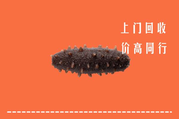 迪庆回收海参