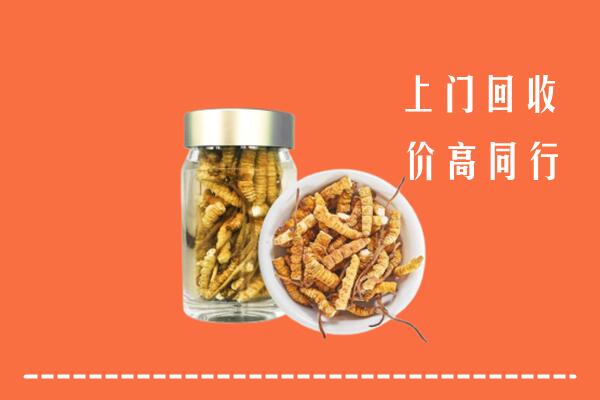 迪庆回收冬虫夏草