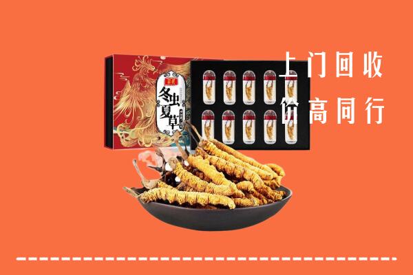 迪庆回收虫草